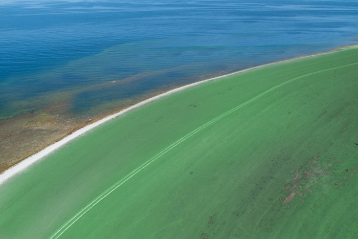 Hamptons officials are considering painting the roads green