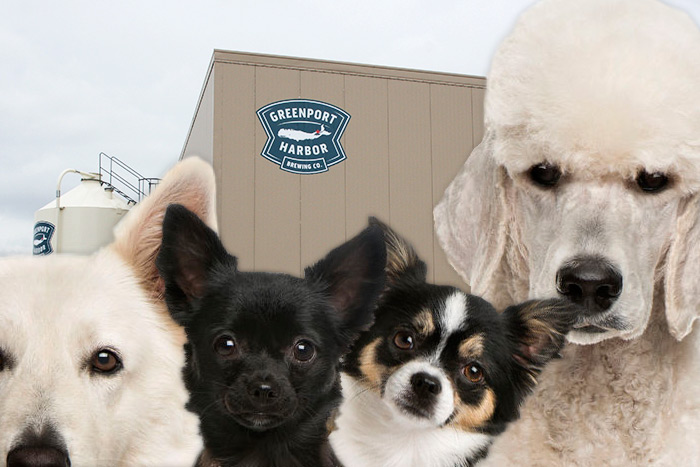 Greenport Harbor Brewing Co. Yappy Hour