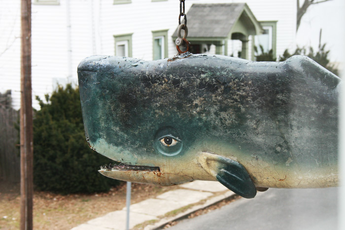 A whale still lives in Greenport
