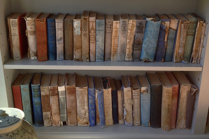 Salvaged books in the Grey Gardens Library