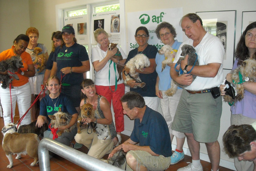 ARF Staff and Volunteers with the Puppy Mill Rescue Dogs