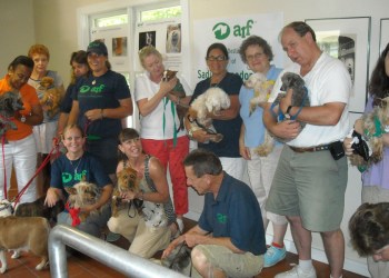 ARF Staff and Volunteers with the Puppy Mill Rescue Dogs