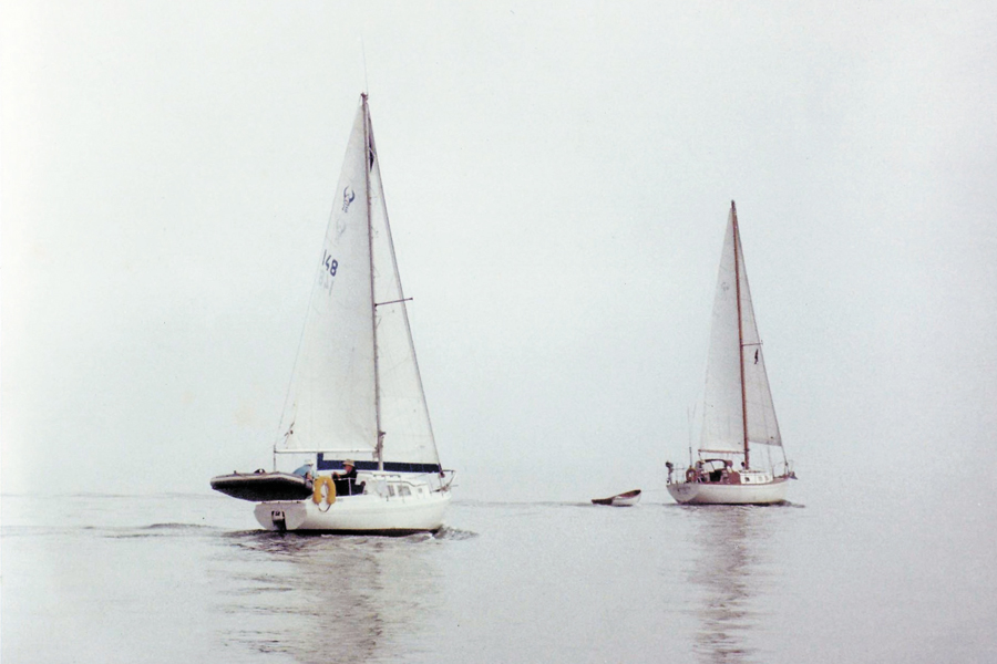 Sailboats Guest Essay Chapman Courtesy Author