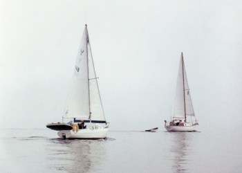 Sailboats Guest Essay Chapman Courtesy Author