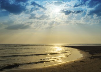 Guest Essay Our Week Our House Sea Beach