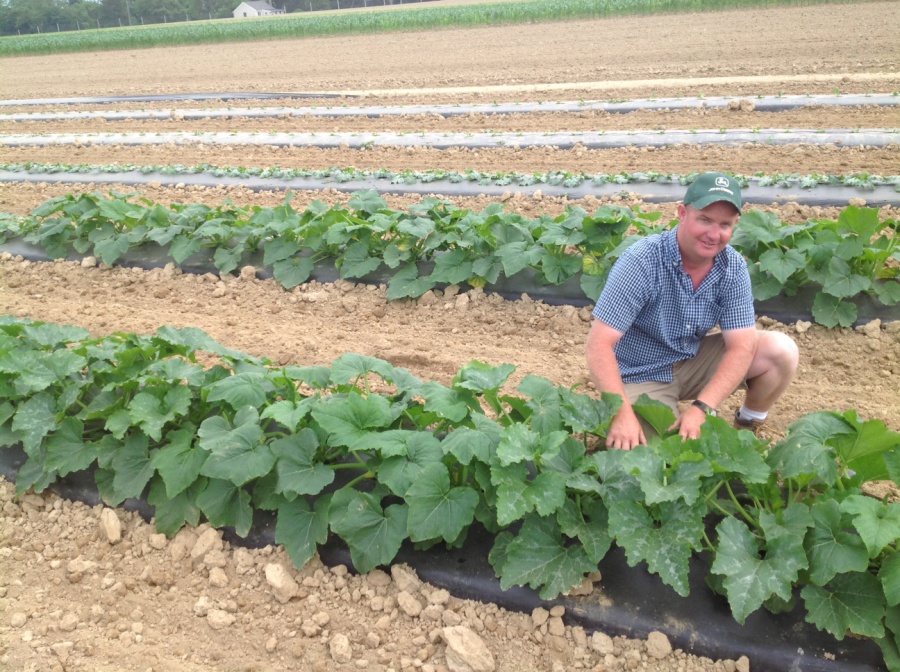 Adam Halsey with his crops