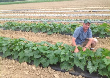 Adam Halsey with his crops