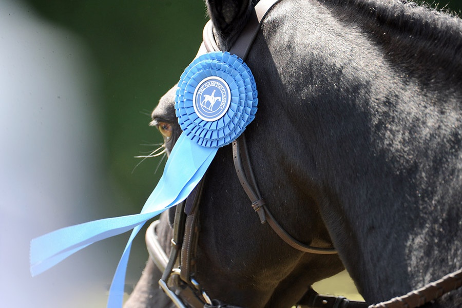 Hampton Classic Horse Medal