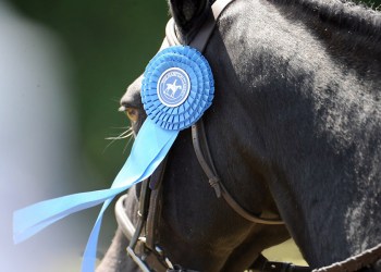 Hampton Classic Horse Medal