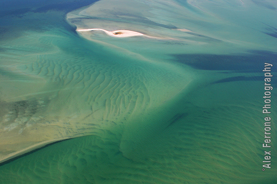 Hamptons Blues and Greens by Alex Ferrone