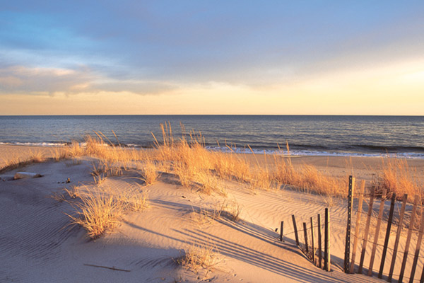 Hamptons Beach scene