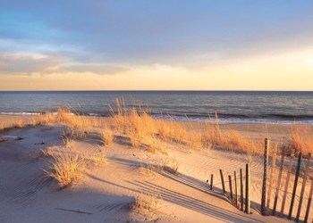 Hamptons Beach scene