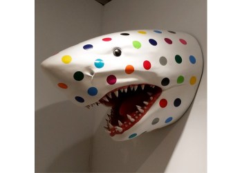 Shark sculpture from Art Southampton