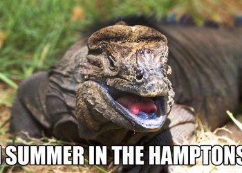 happy Hamptons monitor lizard