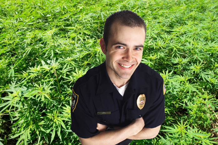 Hamptons Police plan to dispense medical marijuana