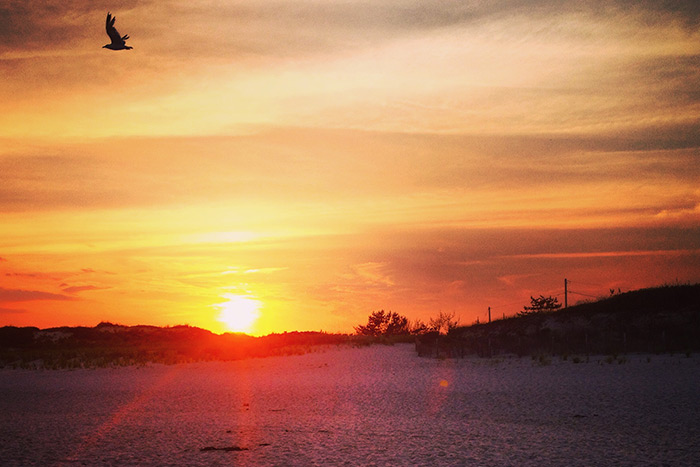 Hamptons sunset beach