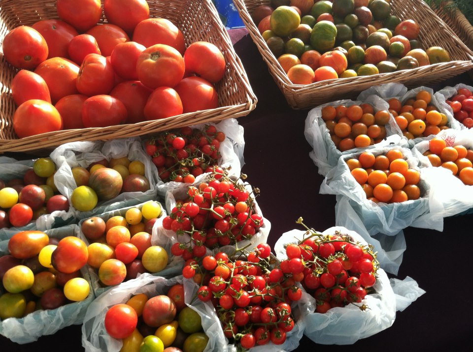 Hayground Market Tomatoes