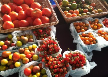 Hayground Market Tomatoes