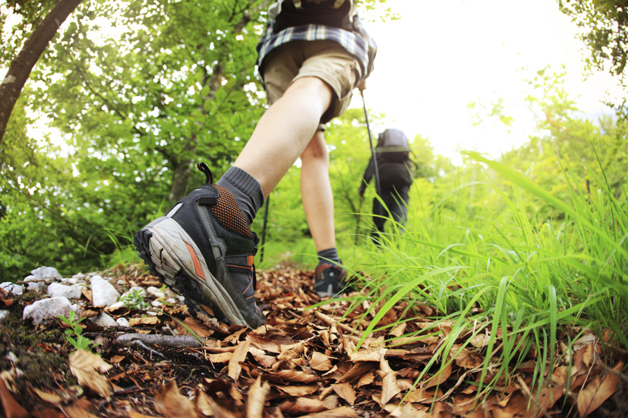 Hikers Hiking