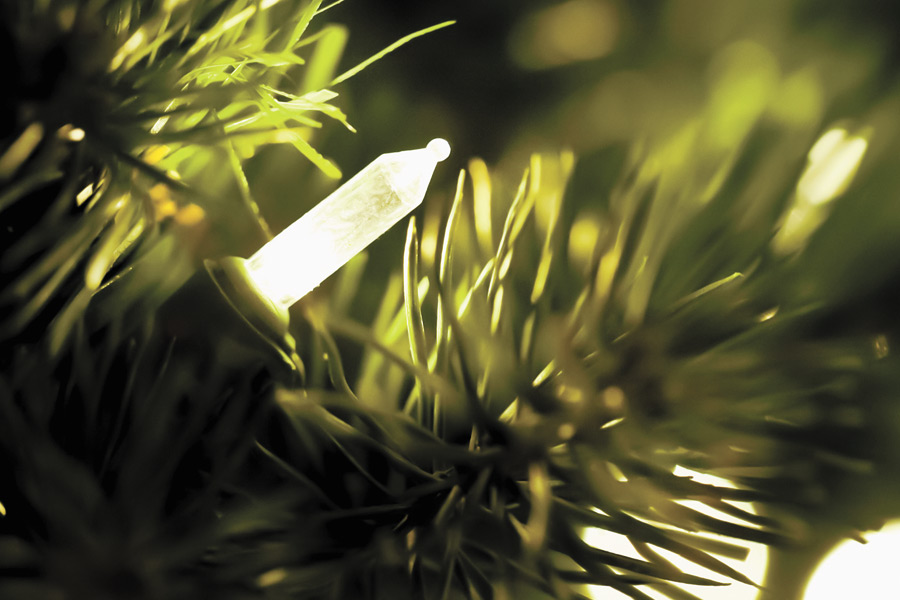 Light your trees for the season!