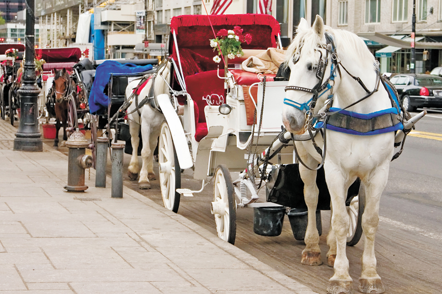 32 horse NYC carriages are coming to Sag Harbor