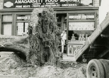 Amagansett after Hurricane 1938