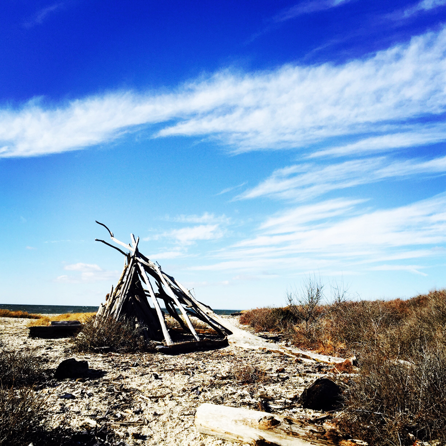 Craig Catalano's instagram