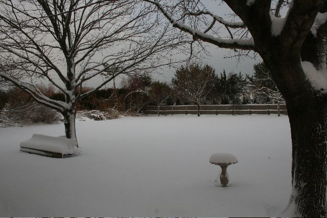 Blizzard, Water Mill