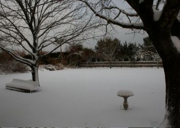 Blizzard, Water Mill