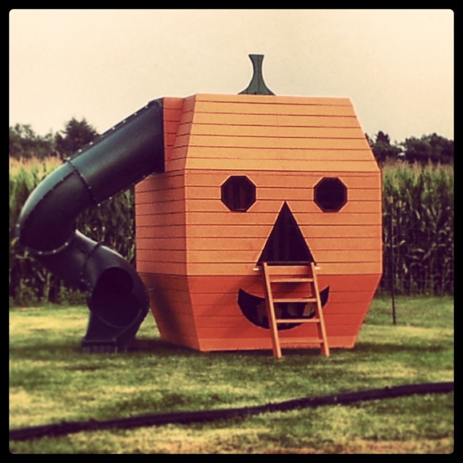 Pumpkintown Instagram