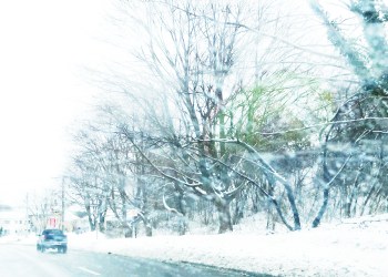 hamptons snow instagram