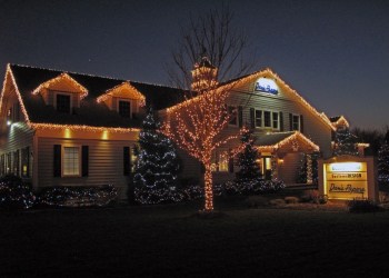 Holiday lights at the Dan's Papers office.