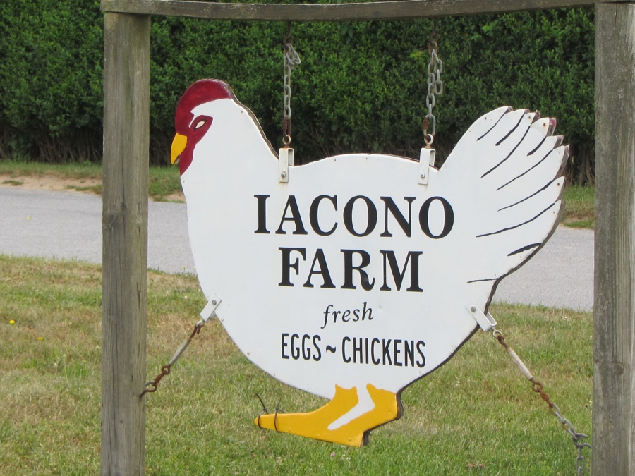 Iacono Farm Sign, photo by Stacy Dermont