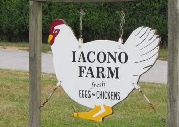 Iacono Farm Sign, photo by Stacy Dermont