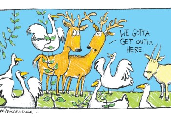 Invasive Species Cartoon By Mickey Paraskevas