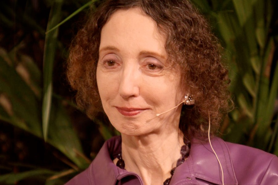 Shawn joyce essay 07 picture