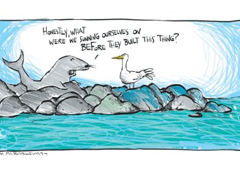 Jetty Cartoon By Mickey Paraskevas
