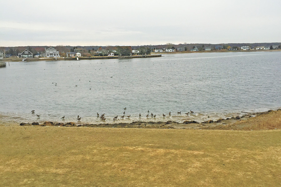 Kelly's new view in Southampton