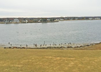 Kelly's new view in Southampton