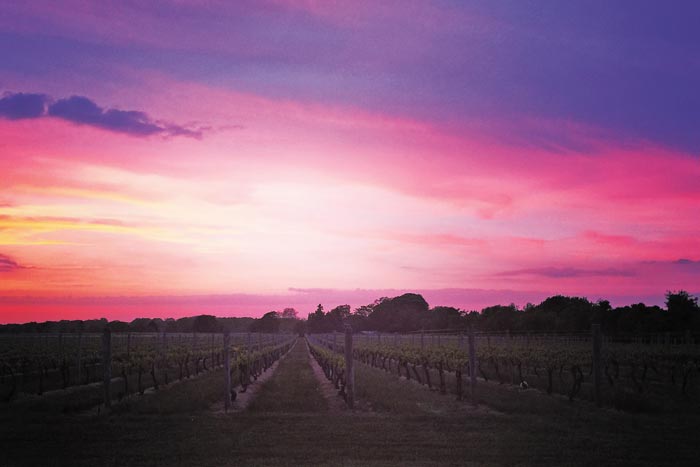 Another epic Hamptons sunset at Wolffer Estate Winery