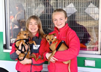 Join ARF Pet Celebration Day on May 2