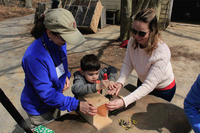 Birdhouse building at Charnews Farm