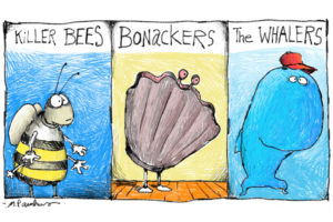 Killer Bees Bonackers Whalers Cartoon by Mickey Paraskevas
