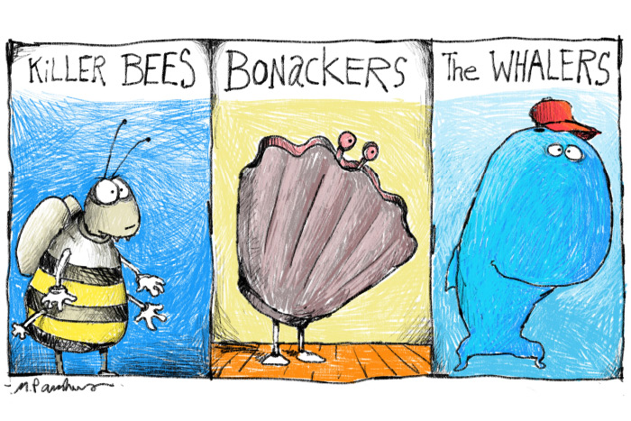 Killer Bees Bonackers Whalers Cartoon by Mickey Paraskevas