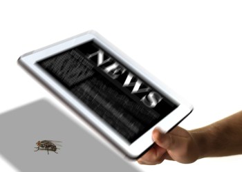 The classic Shelter Island Kindle swat