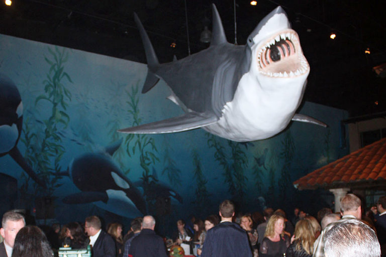 Get in the Swim at Long Island Aquarium in Riverhead Dan’s Papers