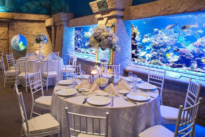Long Island Aquarium offers weddings in a watery wonderland