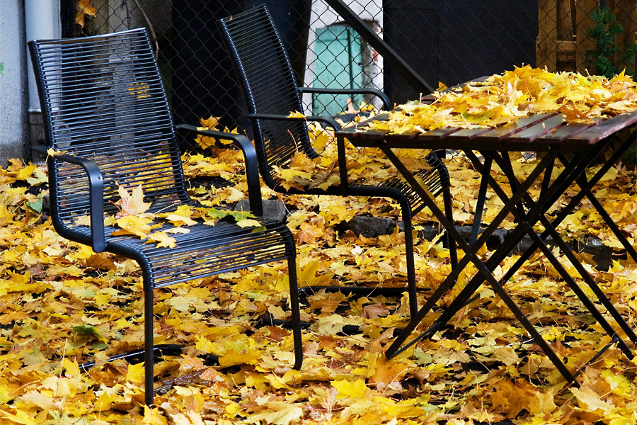 Leaves Fall Cleanup