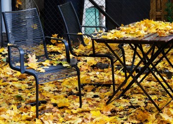 Leaves Fall Cleanup