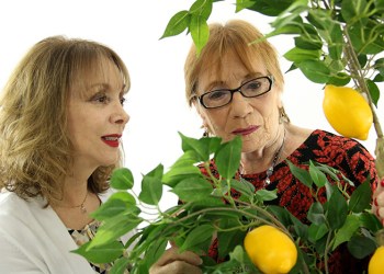 Lemon Tree at Theater 294